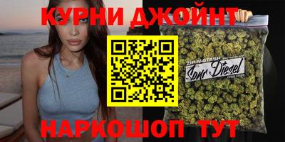 крисы Будённовск