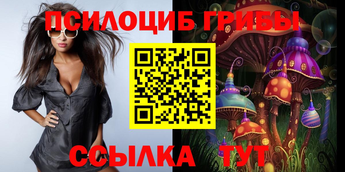 Псилоцибиновые грибы прущие грибы Ухта